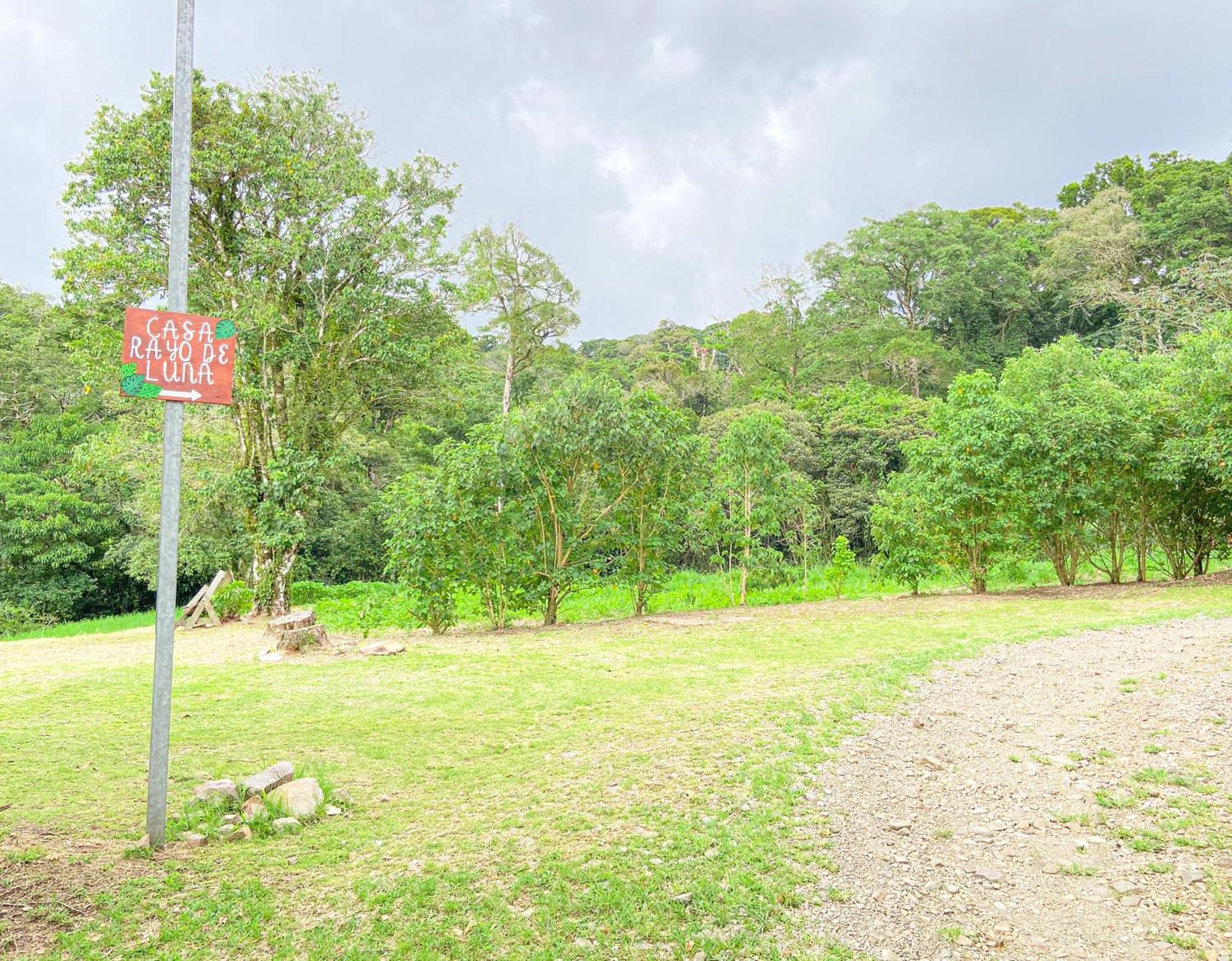 Casa Rayo De Luna Monteverde Buitenkant foto
