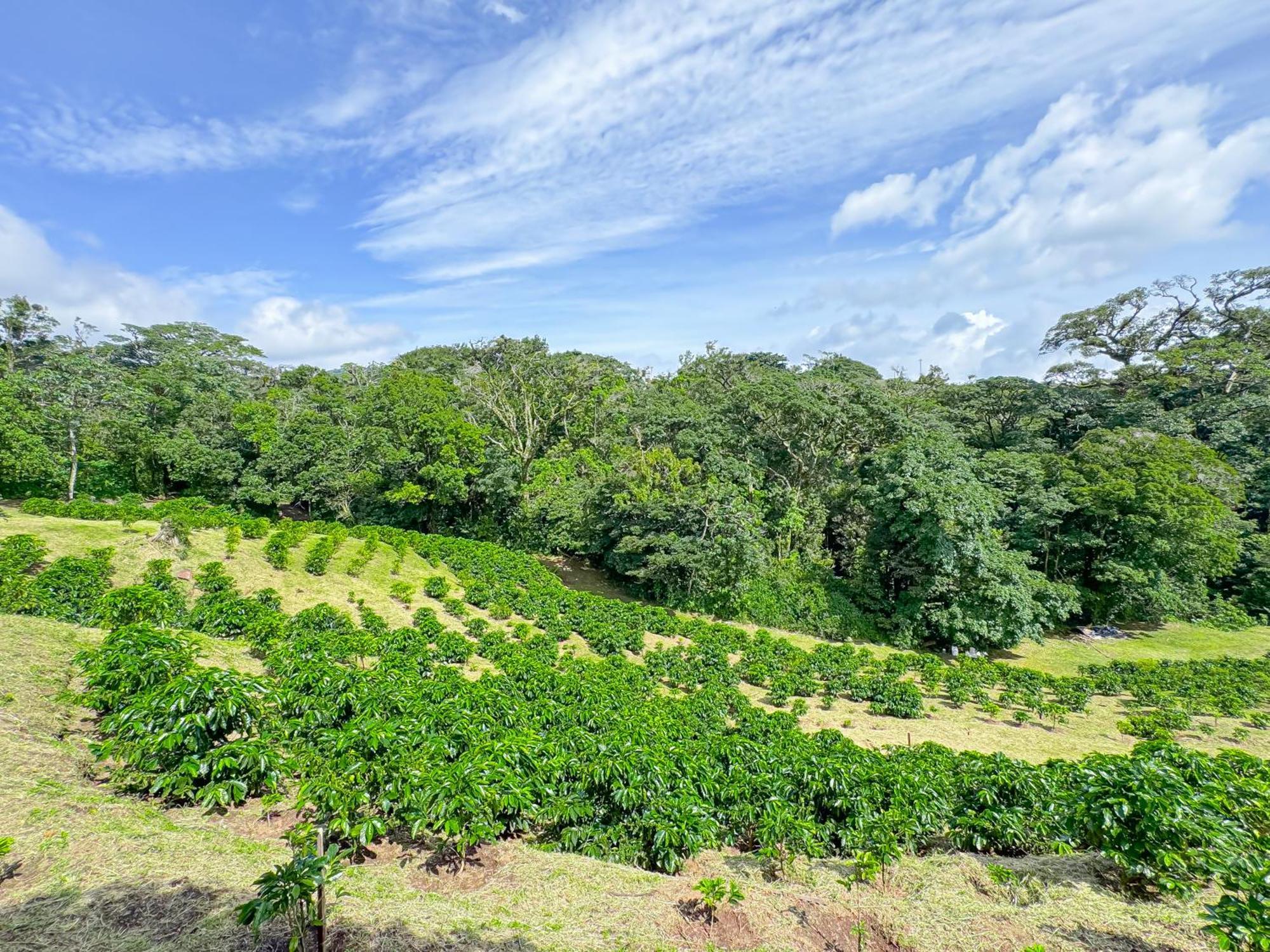Casa Rayo De Luna Monteverde Buitenkant foto